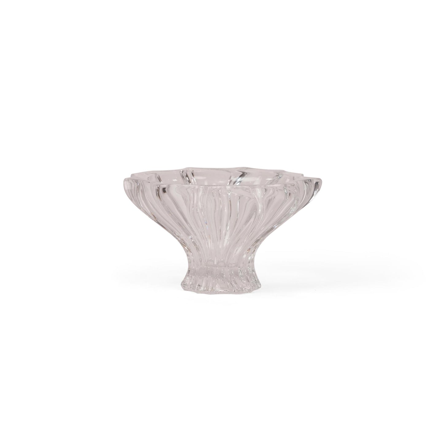 BOWL PLANTICA 150